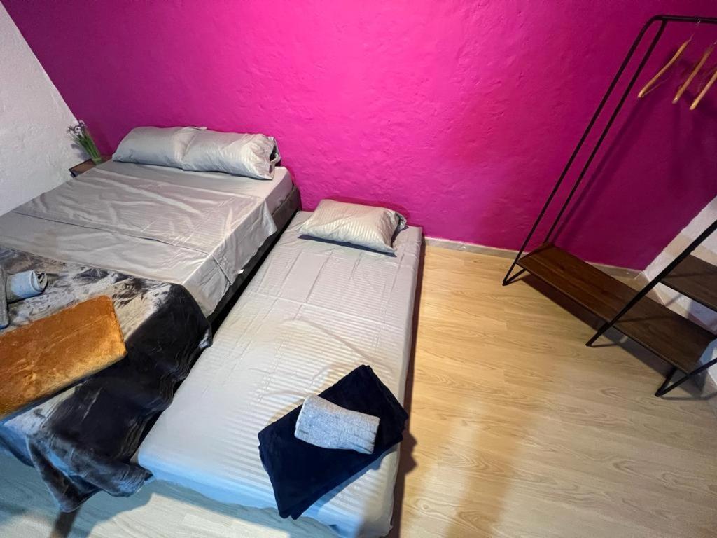 Apartaestudios Las Astromelias Σαλέντο Εξωτερικό φωτογραφία